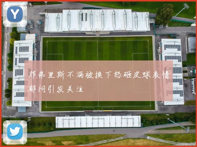 邓弗里斯不满被换下怒砸皮球表情郁闷引发关注